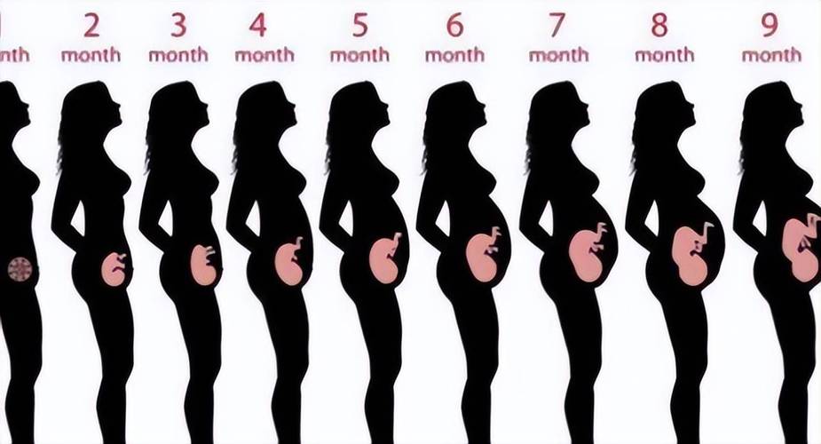 怀孕8个月肚子发硬发紧绷怎么回事？（八个月宝宝肚子硬硬的是什么）