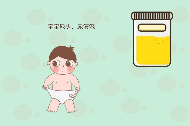 6个月的小孩尿少是什么原因？(6个月宝宝喝水添加什么原因)