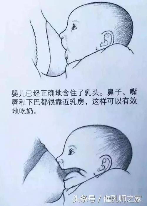新生宝宝允吸不出来奶水，还是会一直含着乳头吸吗？为什么宝宝一直吸奶